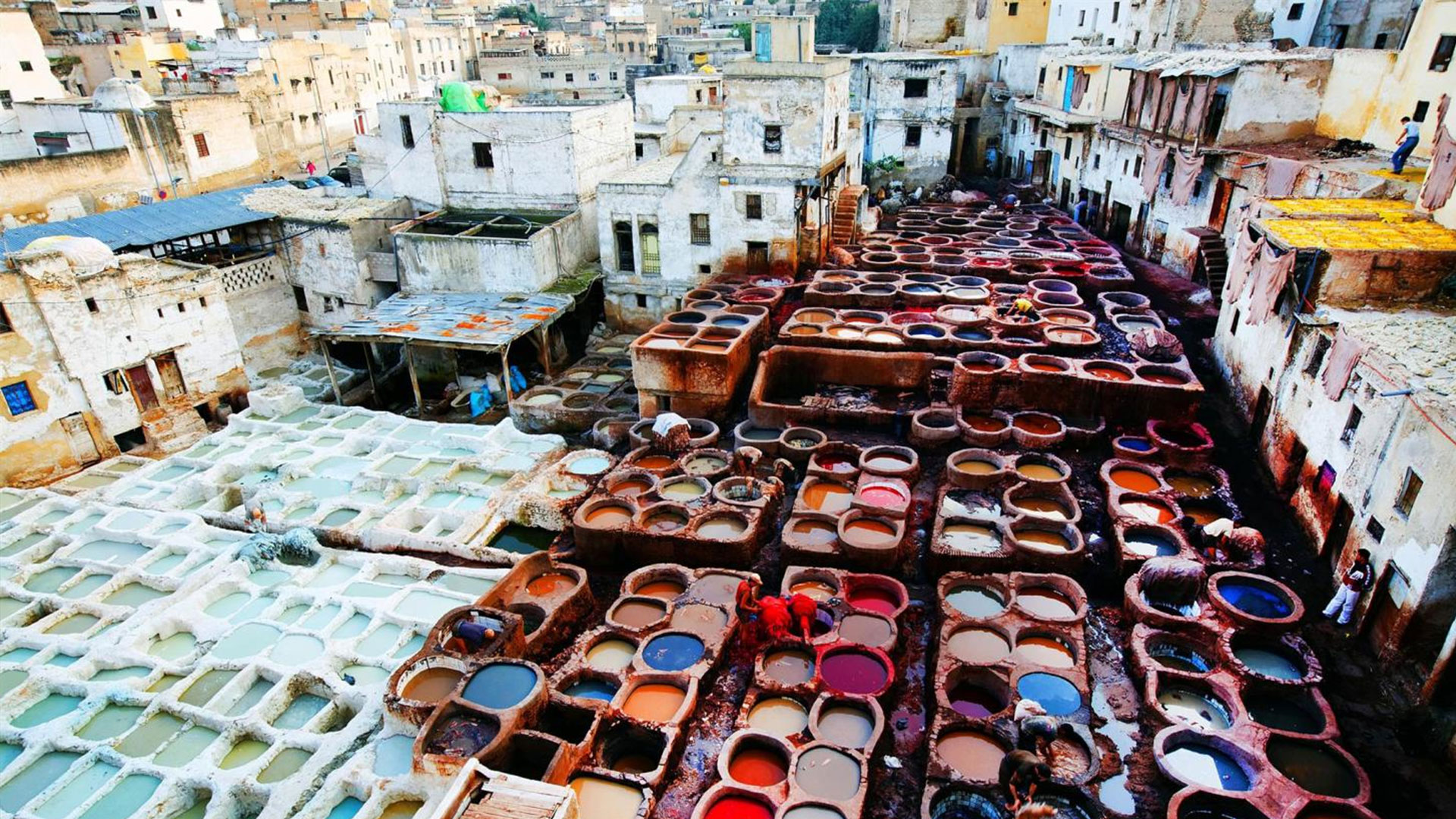 fez guided tour
