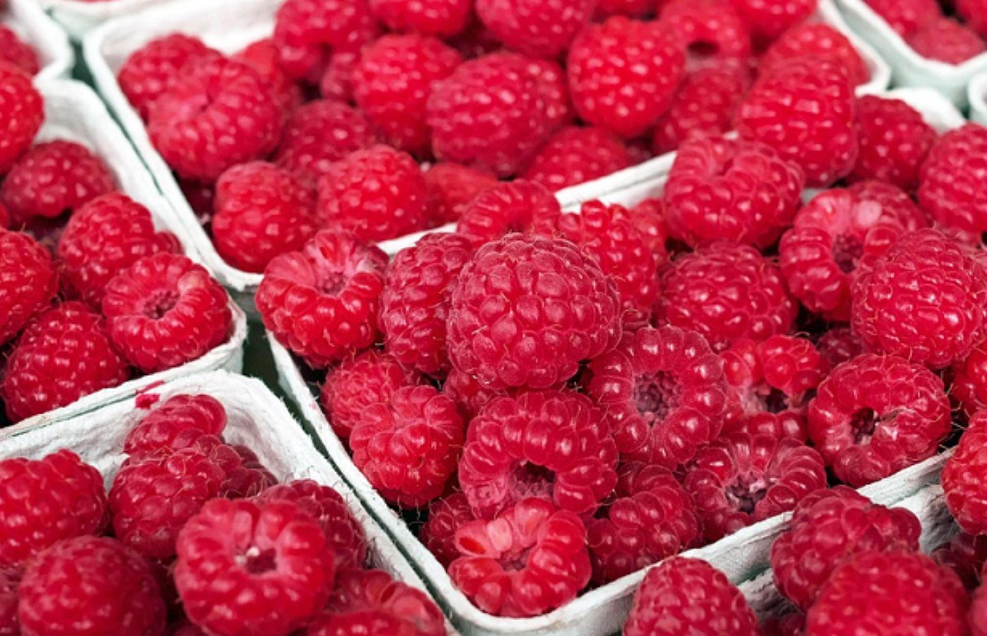 覆盆子 (Raspberries)