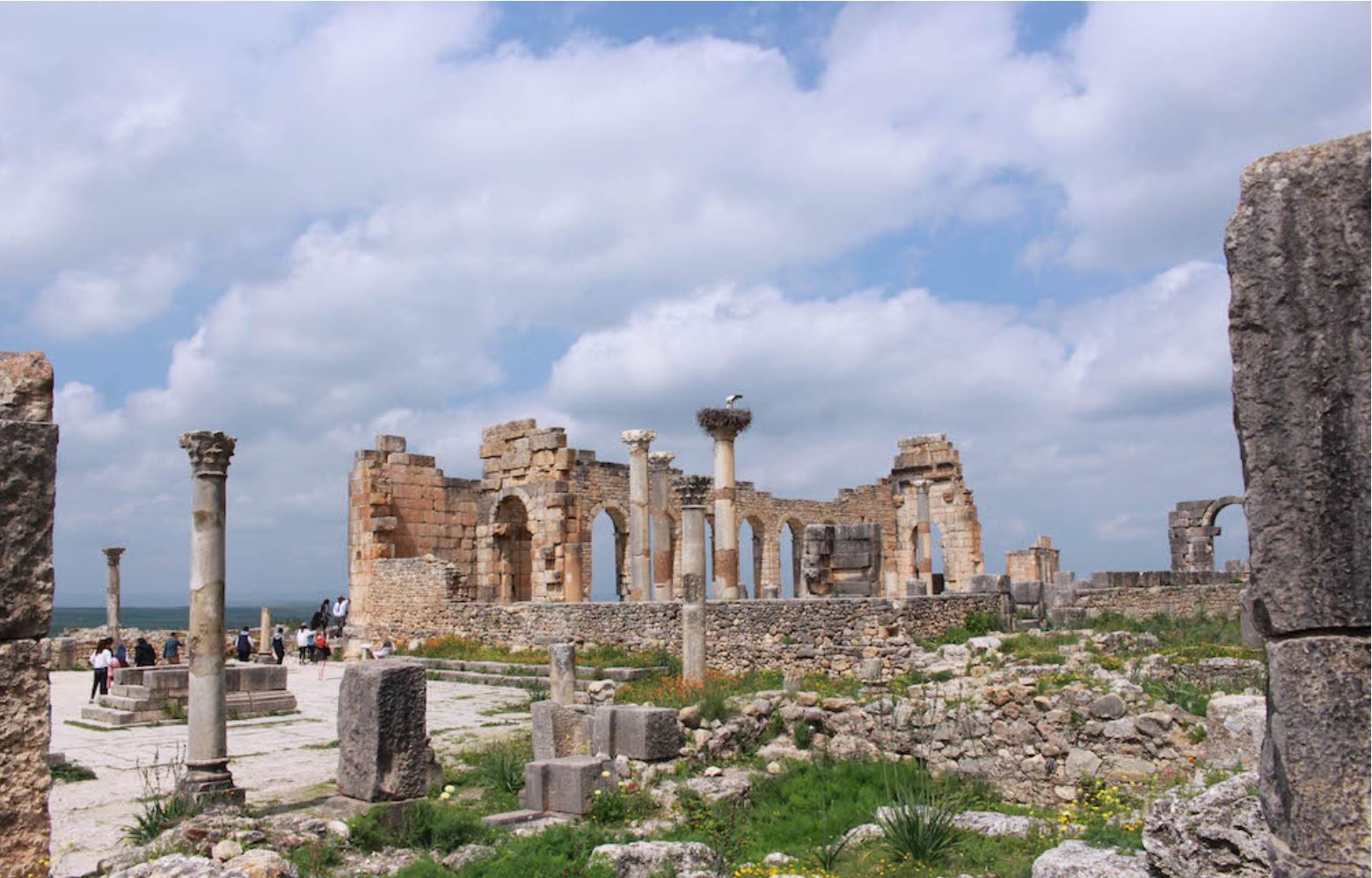 瓦盧比利斯(Volubilis) 瓦盧比利斯(Volubilis)